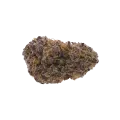 thumb of Blueberry Auto Bud