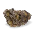 thumb of Blueberry Bud