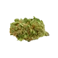 thumb of Blueberry Muffin Bud