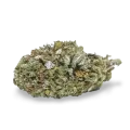 thumb of Bubba Kush bud
