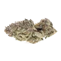 thumb of Bubblegum Sherbet Bud