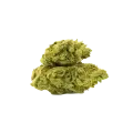 thumb of C. Banana Auto Bud