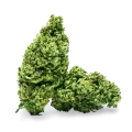 thumb of Cannatonic Bud