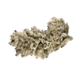thumb of Cap Junky Bud
