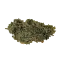 thumb of CBD Candida Bud