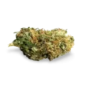 thumb of CBD Diesel bud