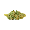 thumb of CBD Express Auto Bud