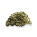 thumb of CBD Girl Scout Cookies Bud
