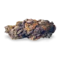thumb of CBD Purple Kush bud