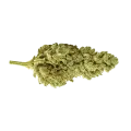 thumb of Bud de CBG Citrus Nectar Auto