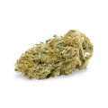 thumb of Cheese bud