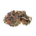 thumb of Cherry Pie Bud