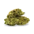 thumb of Chiquita Banana bud