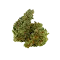 thumb of Bud de Chocolope Auto