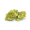thumb of Cinderella 99 bud