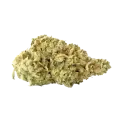 thumb of Colombian Gold Bud