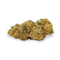 thumb of Critical 47 bud