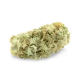 thumb of Critical bud