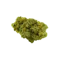 thumb of Critical Jack Auto Bud