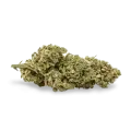 thumb of Critical Purple bud