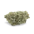thumb of Critical White bud