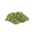 thumb of Diesel Auto Bud