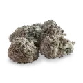 thumb of Durban Poison bud