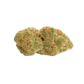 thumb of Fat Bastard Auto Bud