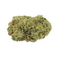 thumb of Forbidden Fruit Bud