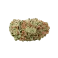 thumb of G13 Auto Bud