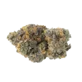 thumb of Gary Payton Bud