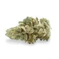 thumb of Gelato bud