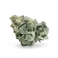 thumb of Girl Scout Cookies bud