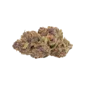 thumb of Godfather OG Auto Bud