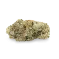 thumb of Gorilla Glue bud