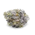 thumb of Granddaddy Purple bud
