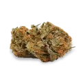thumb of grease monkey bud