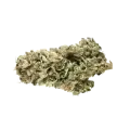 thumb of Green Poison Bud