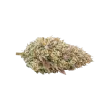 thumb of Gumbo-Cannabisblüte