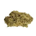 thumb of Hash Plant Bud