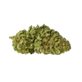 thumb of Haze Auto Bud