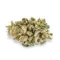 thumb of Hellfire OG bud