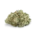 thumb of Hindu Kush bud