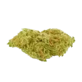 thumb of Humboldt AAutoflower-Blüte