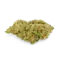 thumb of Humboldt bud
