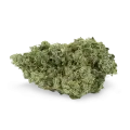 thumb of Jack Herer Bud