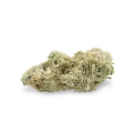 thumb of Jack Widow bud