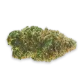 thumb of Jealousy bud