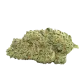 thumb of Kiwi Kush Bud