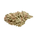thumb of LA Confidential Auto Bud